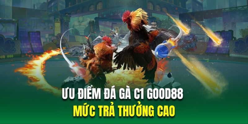 Mức trả thưởng cao ưu điểm của đá gà C1 Good88