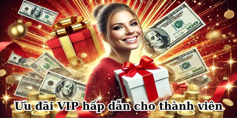 Ưu đãi VIP hấp dẫn cho thành viên